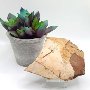 CLEARANCE Natural Wild Horse Picture Jasper Slab A